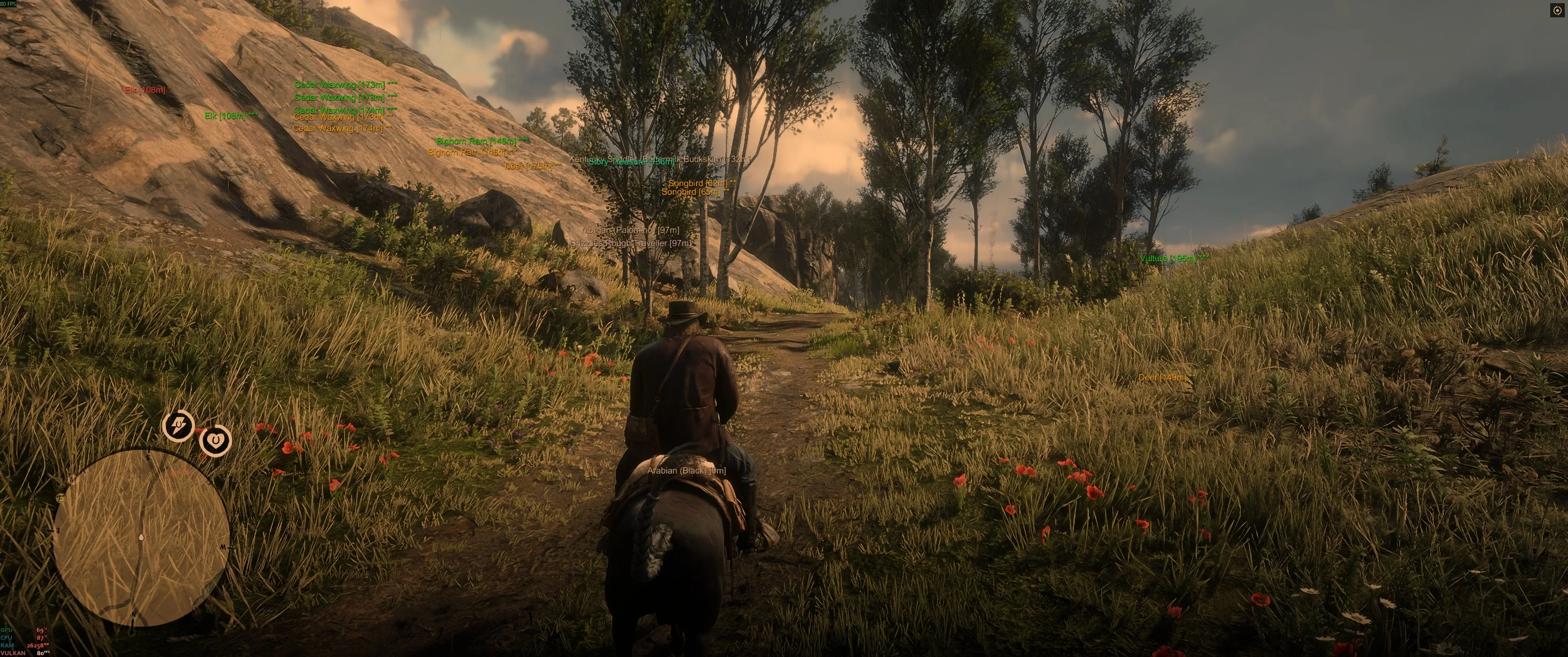 RDR2 hunting ESP showing animals, horses, and treasure distance tags